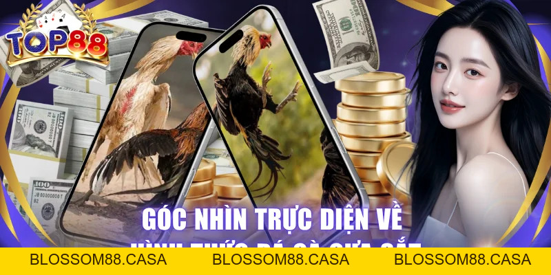 Đá Gà Cựa Sắt Tại TOP88 - Mãn Nhãn Với Cuộc Chiến Gay Cấn