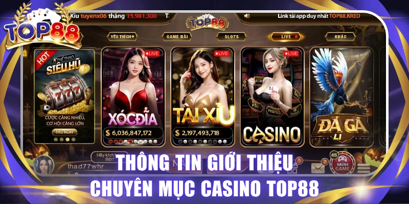 Casino TOP88 - Sòng Bài Live Với Dàn Dealer Xinh Đẹp